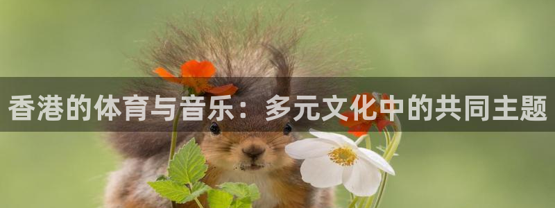 速球体育app官网入口