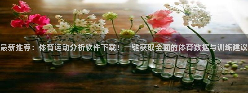 速球体育官网下载：最新推荐：体育运动分析软件下载！一键获取全面的体育数据与训练建议