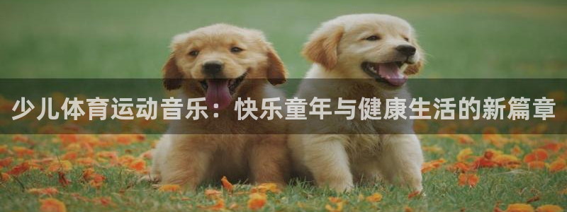 速球体育正规不：少儿体育运动音乐：快乐童年与健康生活的新篇章