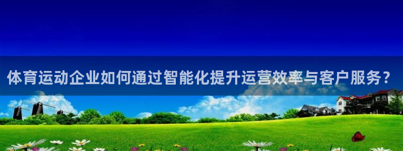 速球体育可以玩吗：体育运动企业如何通过智能化提升运营效率与客户服务？