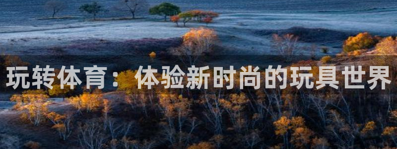速球体育正规不