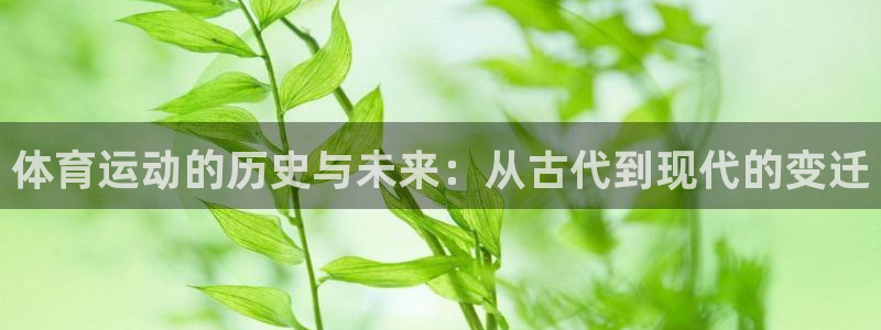 速球体育可以玩吗