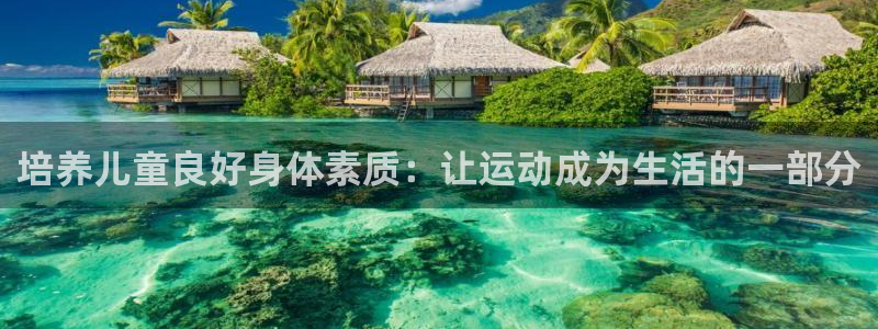 速球体育app最新版