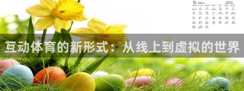 速球体育官方版下载