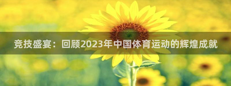 速球体育官方入口地址