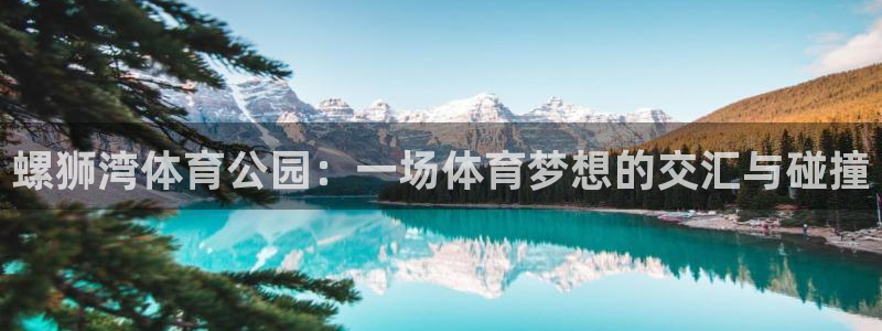 速球体育官网入口