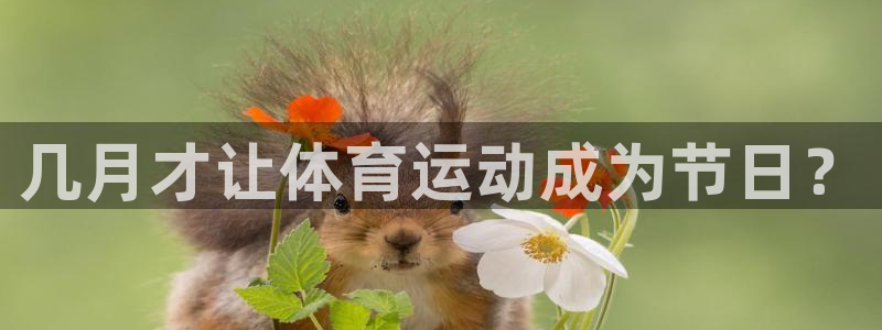 速球体育可以玩吗