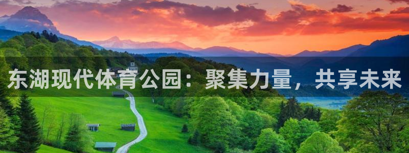 速球体育官网入口