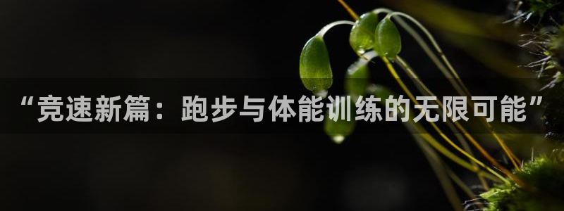 速球体育App下载：“竞速新篇：跑步与体能训练的无限可能”